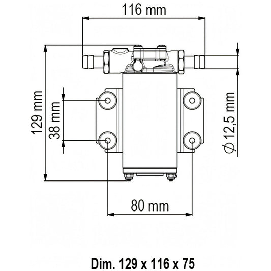 Disegno tecnico quotato della pompa Marco UP2-P