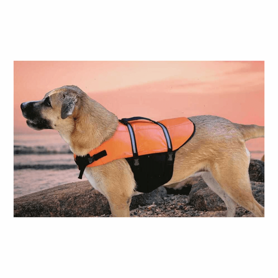 Giubbotto di salvataggio per cani taglia M 10-25 kg con maniglia dorsale per barca.