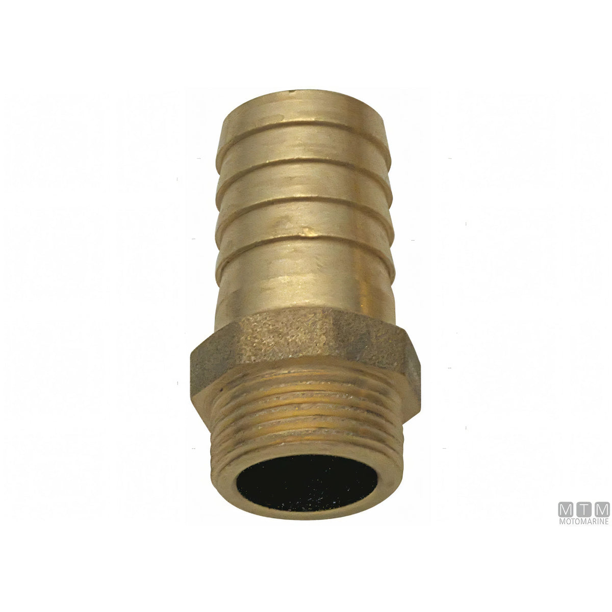 Ancor Filtro Separatore Benzina B100 in ottone — Portagomma Ø 8 mm