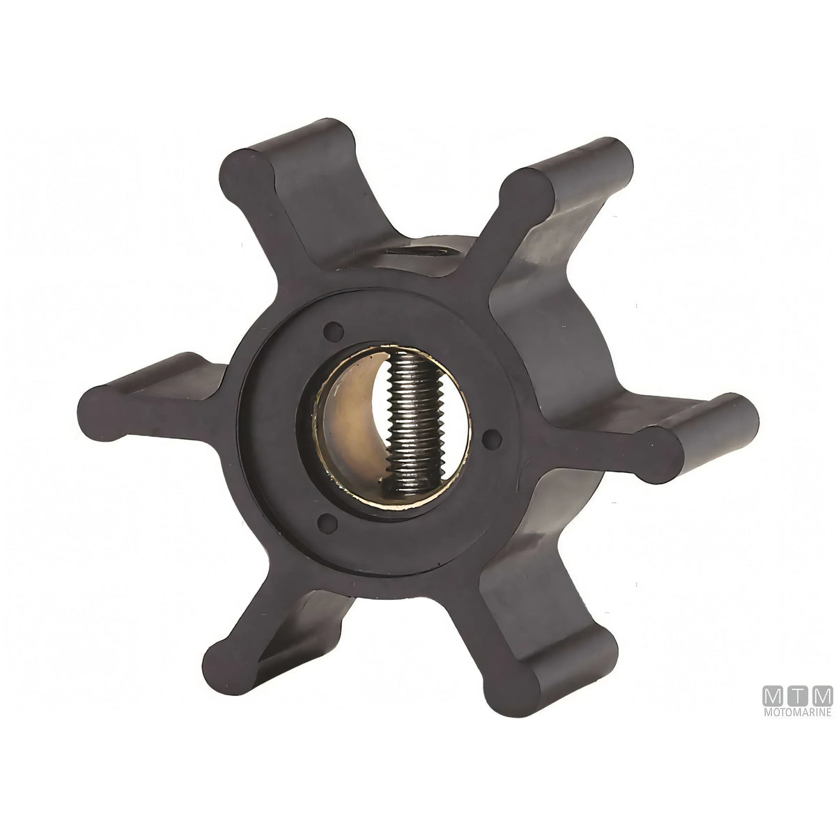 Ancor pompa di raffreddamento ST134 in bronzo con girante in neoprene