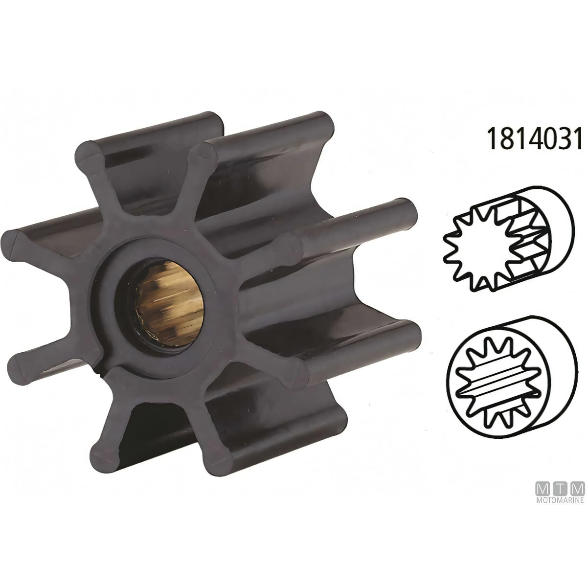 Pompa di raffreddamento Ancor ST151 in bronzo con girante in neoprene