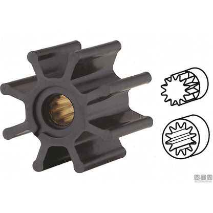 Pompa Ancor con frizione manuale in Bronzo e Acciaio Inox