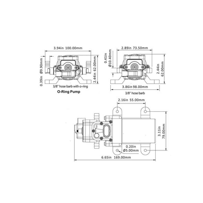 Scheda tecnica pompa autoclave Seaflo 3,8 lt/min 12V con dimensioni in mm e pollici, viste frontale e laterale