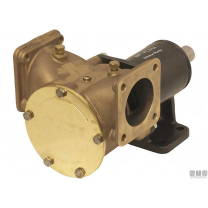 Pompa raffreddamento Johnson FB-3000 — F8B-3000 VF