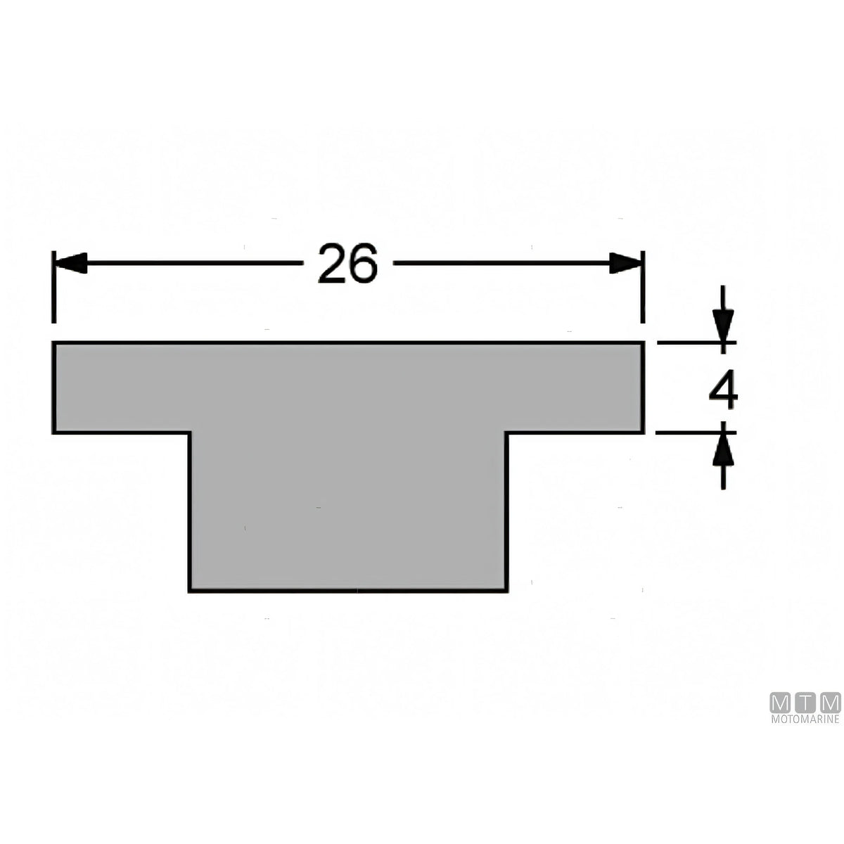 Antal carrello e rotaia Genoa 26x4 mm — Rotaia 1 m