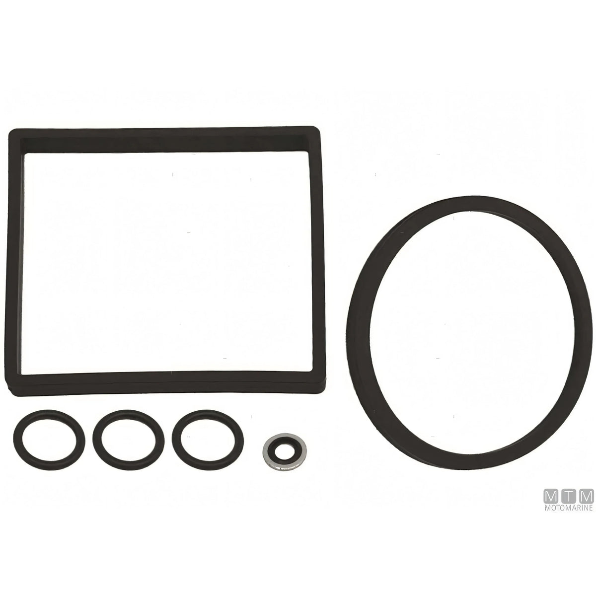 Separ ricambio filtro gasolio serie 2000 — Kit O-ring - 2000/40