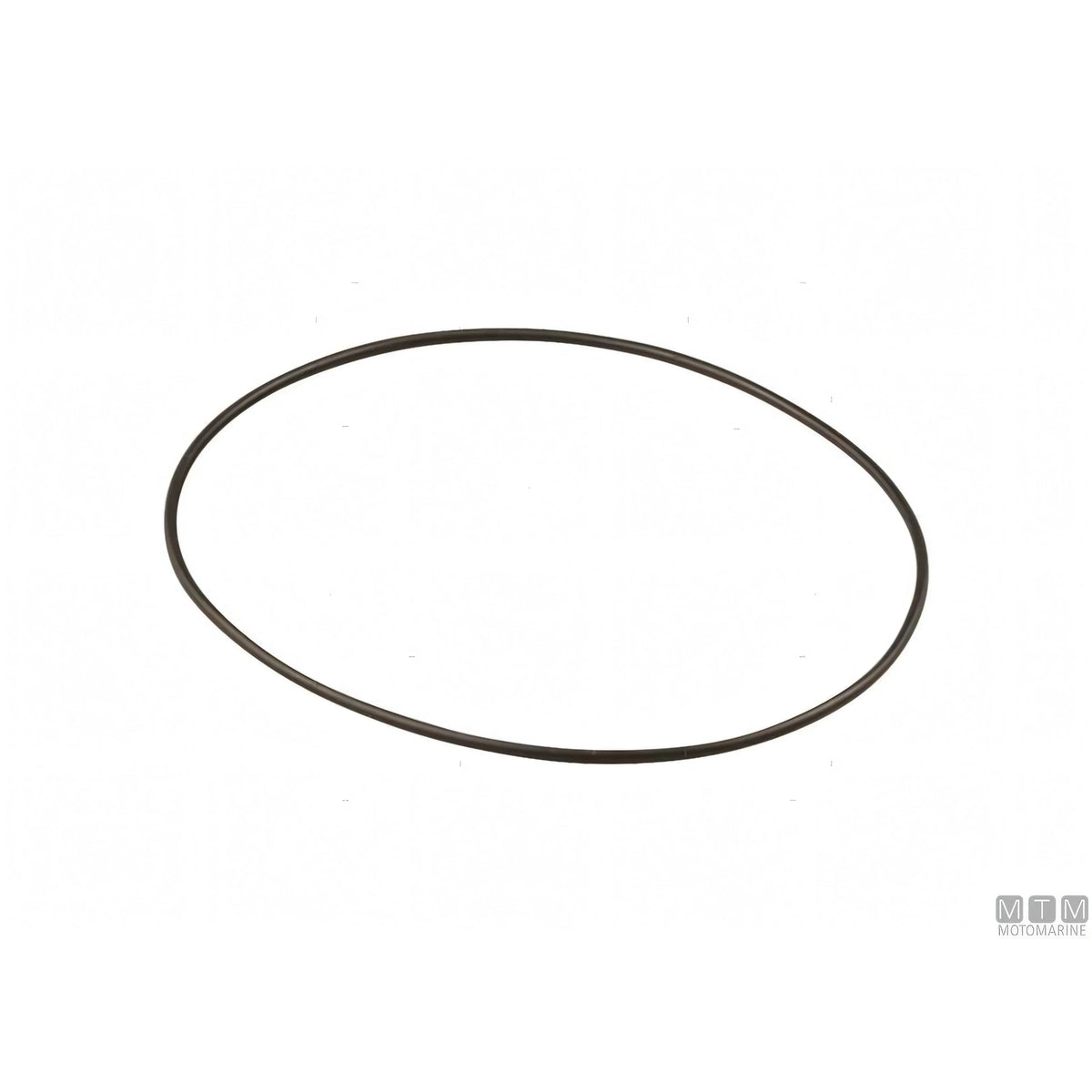 Guidi Filtro Acqua di Mare RGXL-1162 — O-ring ricambio (misura A)