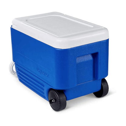 Ghiacciaia Igloo Wheelie 38 blu con ruote nere, coperchio bianco, 36 lt, in plastica rigida