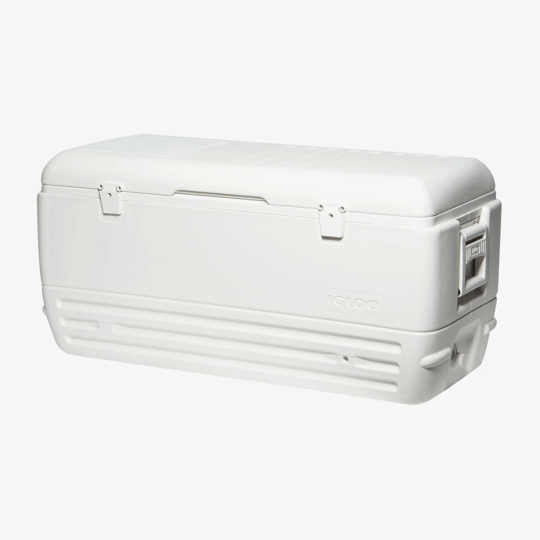 Ghiacciaia Igloo Quick and Cool 150 QT bianca in plastica rigida con coperchio e chiusure laterali