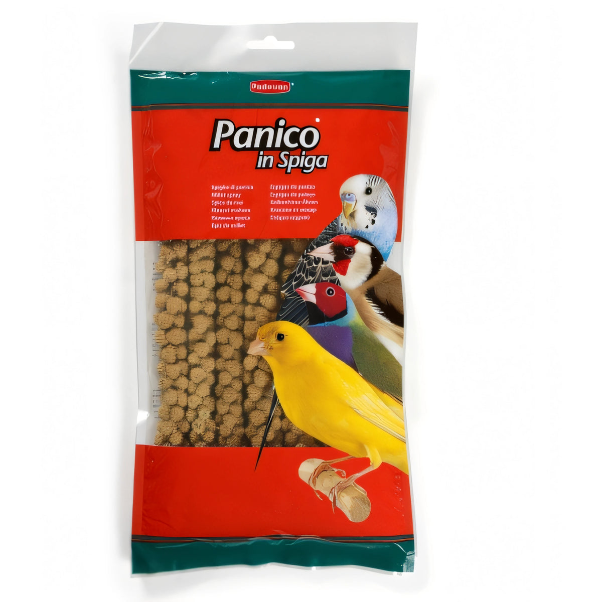 Panico in spiga Padovan, dettaglio spighe