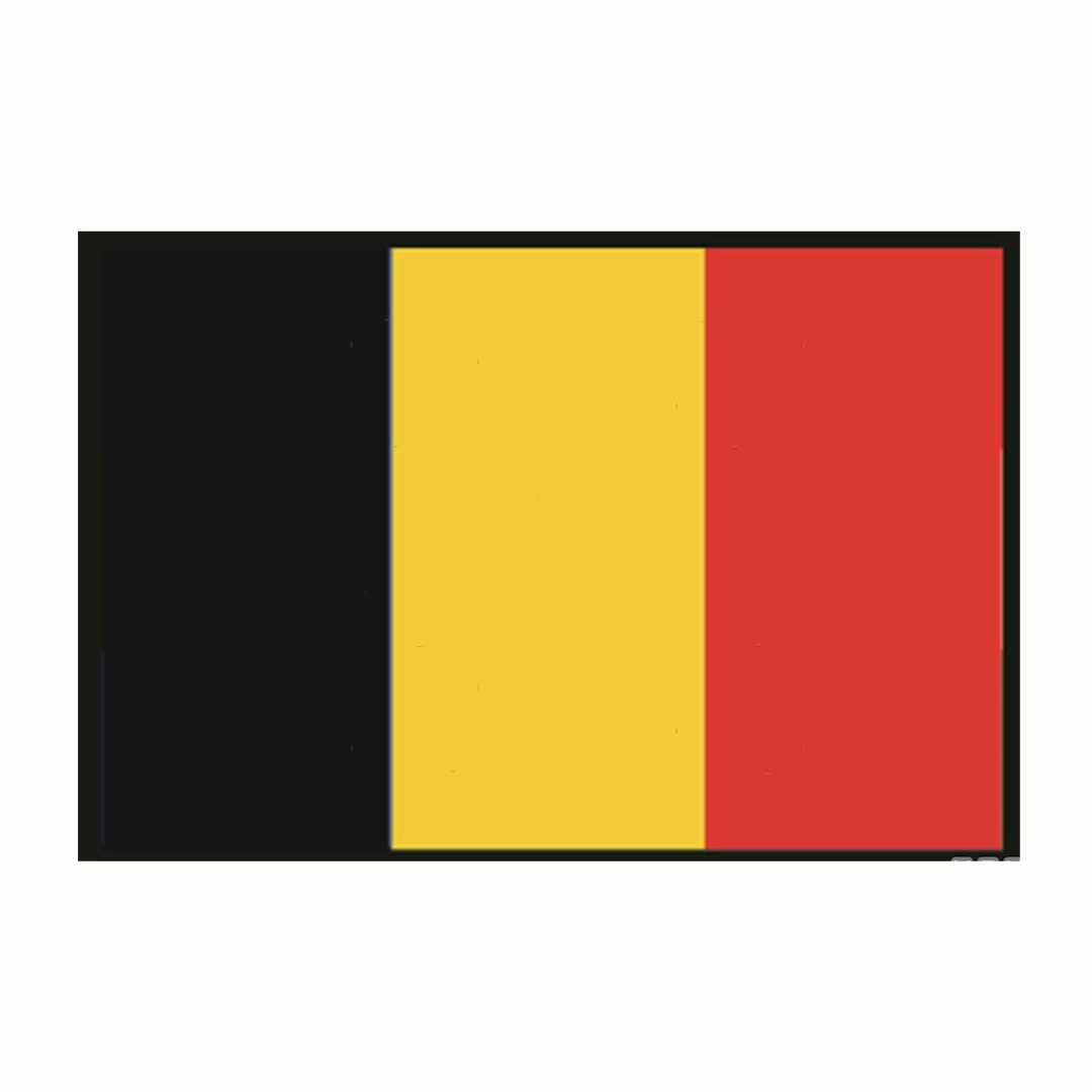 Bandiera del Belgio rettangolare in tessuto di poliestere resistente per uso nautico ed esterno.