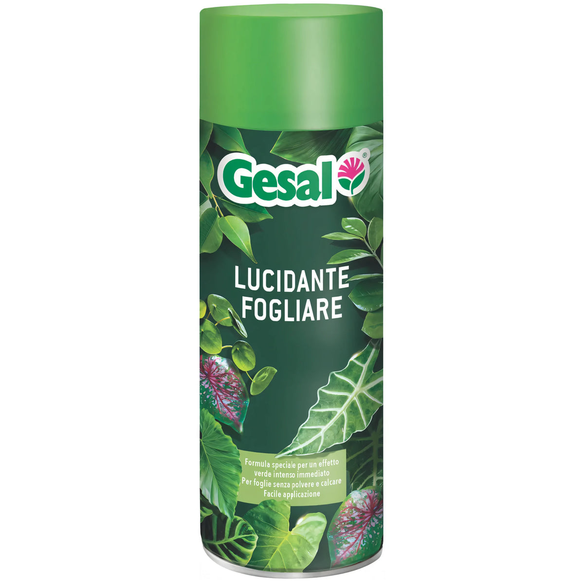 Lucidante fogliare spray Gesal 250 ml per piante