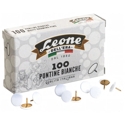 Puntine con testa in plastica colorata, conf. da 100