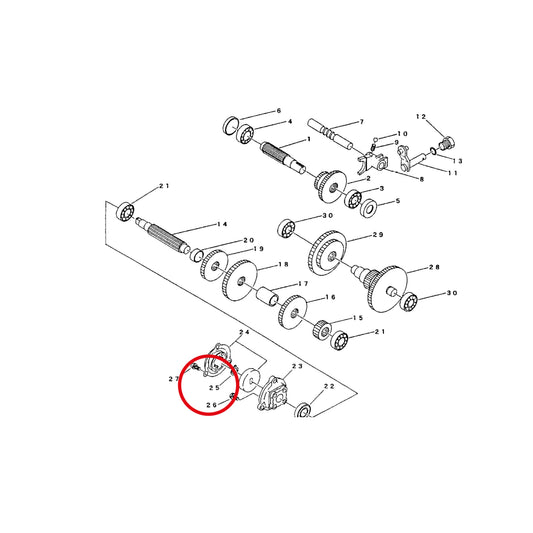 Esploso «Trasmissione» del minitransporter Ibea IBT-300D, con la posizione 25 del ricambio CH-07400001400