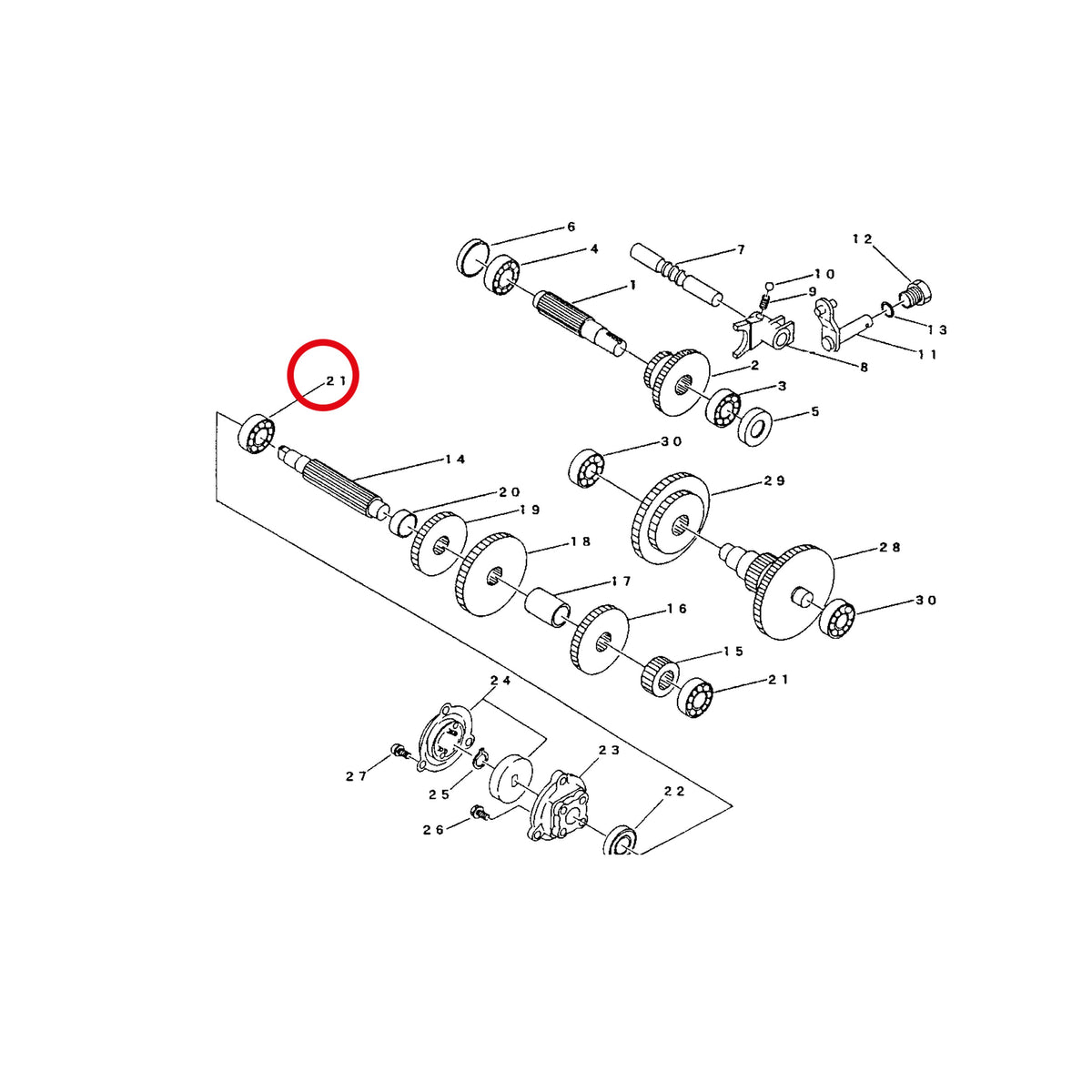 Esploso «Trasmissione» del minitransporter Ibea IBT-300D, con la posizione 21 del ricambio CH-07500062030