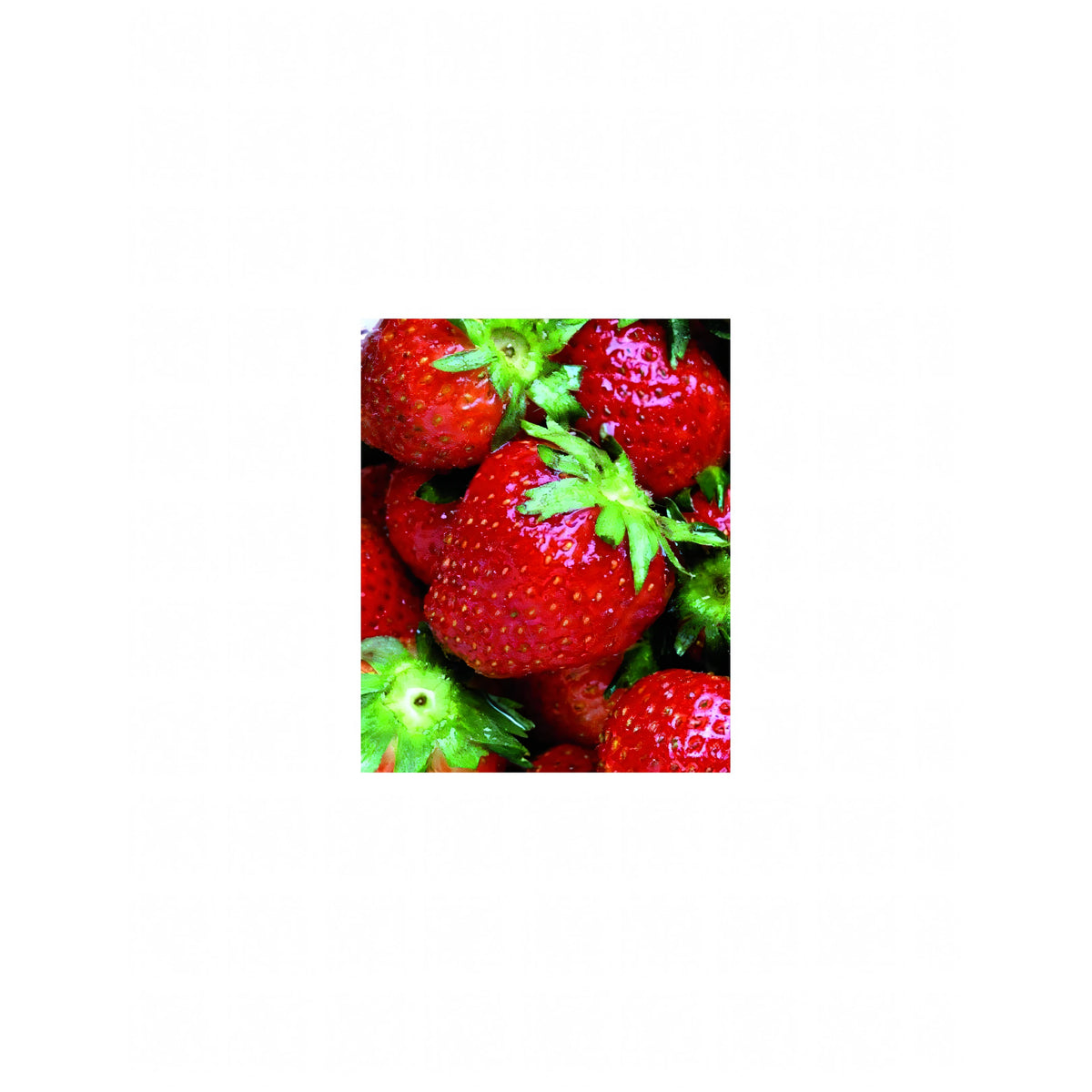 Bustina di sementi di fragole