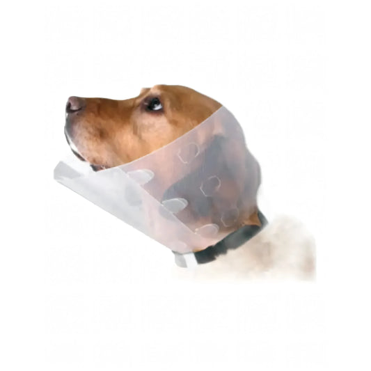 Collare elisabettiano in plastica trasparente indossato da un cane (foto indicativa, stessa per tutte le misure)