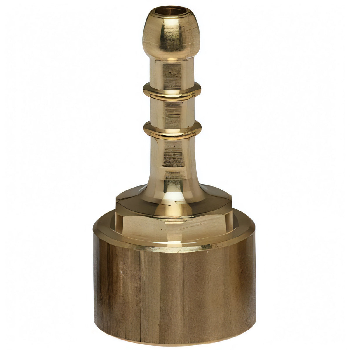 Portagomma GPL dritto in ottone con filetto femmina 1/2 pollice, mm 10