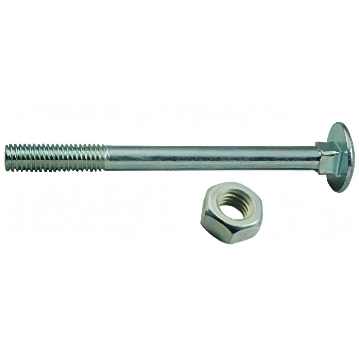 Bullone testa tonda zincato con dado, 8x160 mm