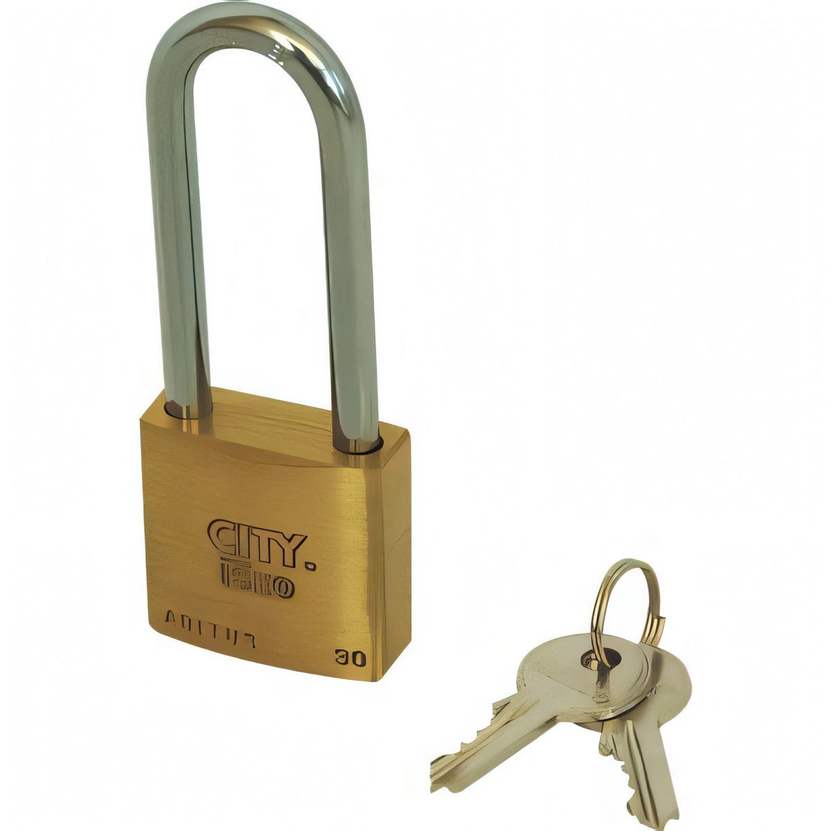 Lucchetto ad arco lungo Iseo Aditus in ottone, misura 30x46 mm